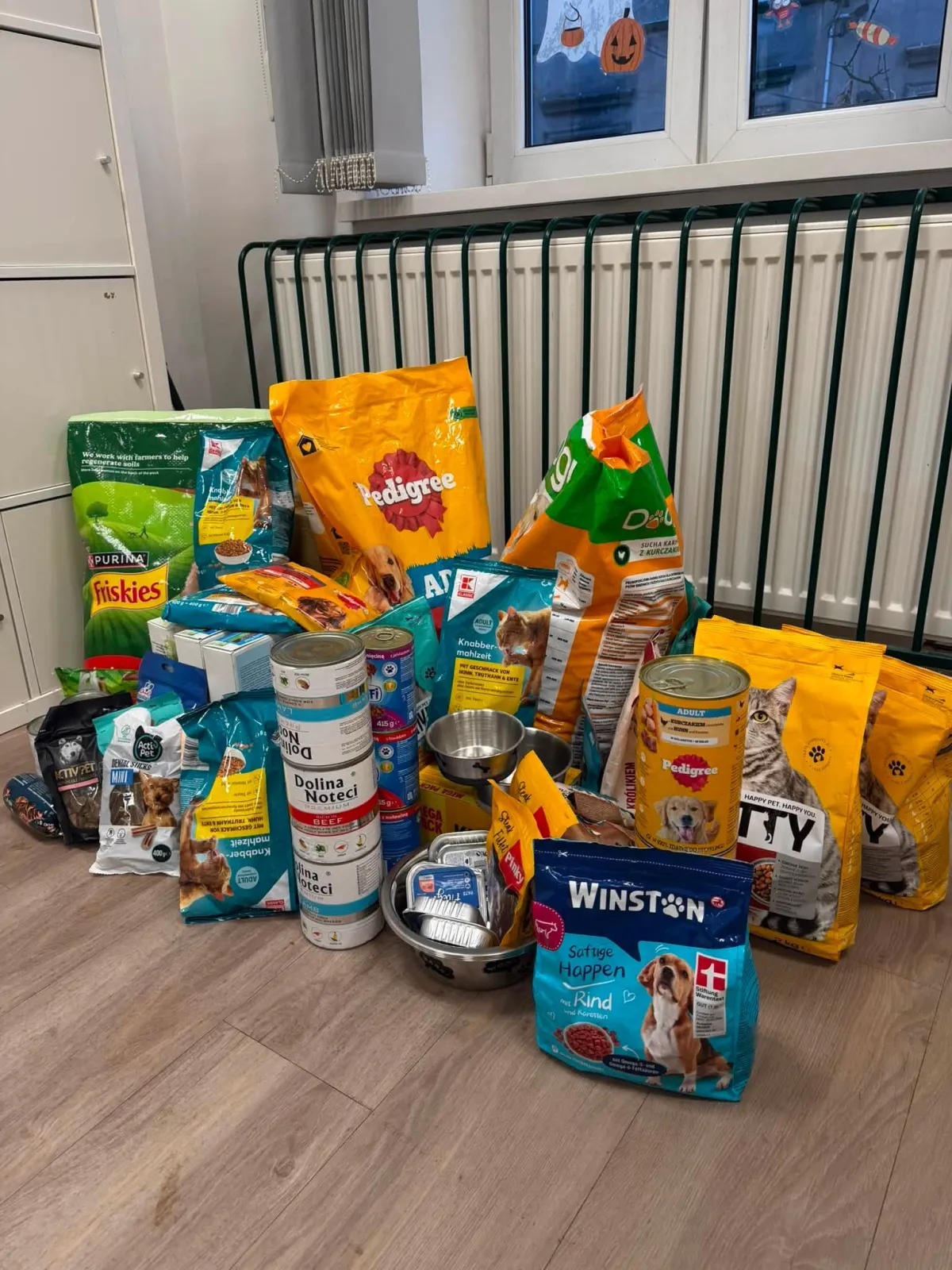 Helping the shelter — school donation drive results - photo 2