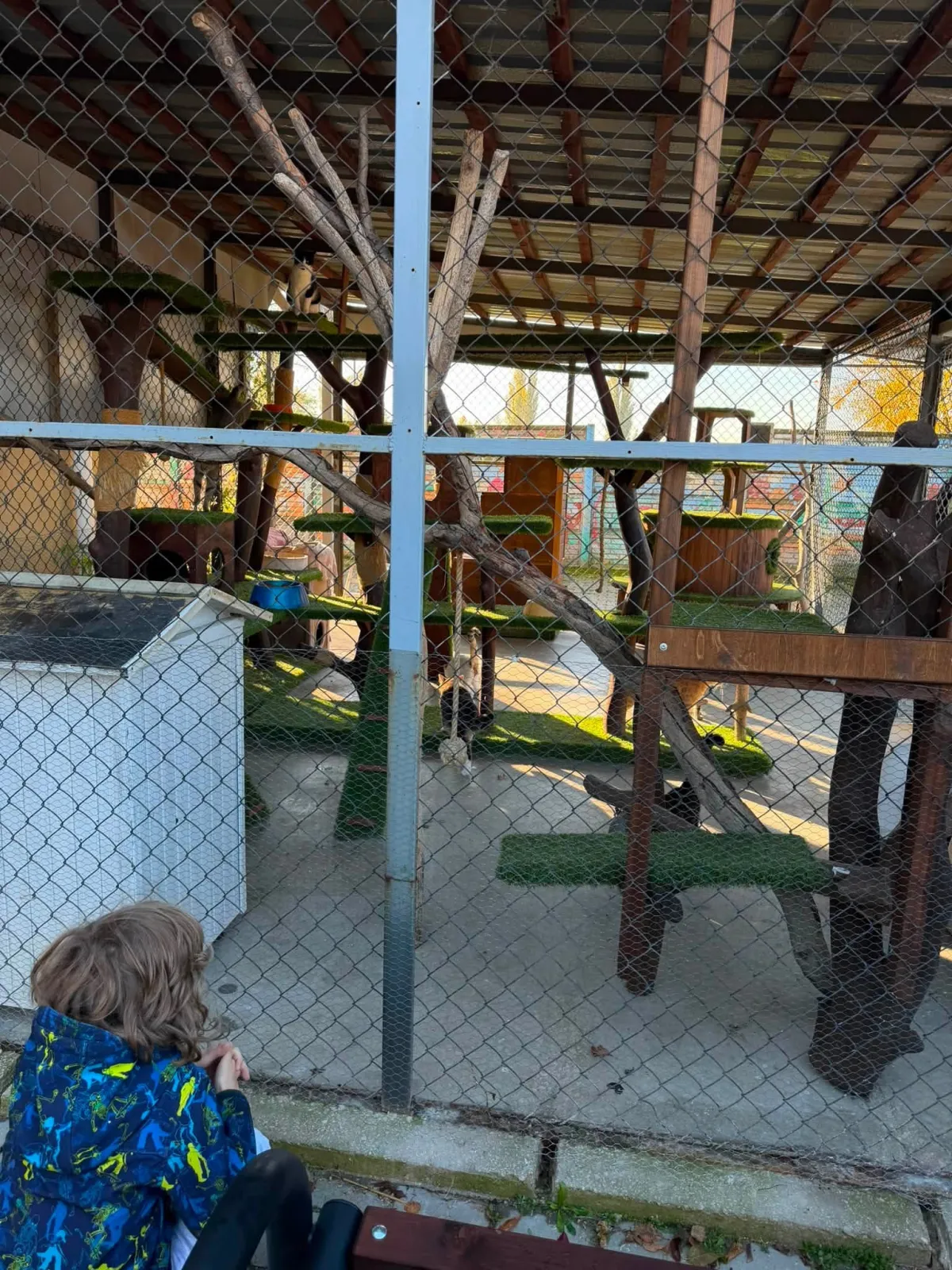 Helping the shelter — school donation drive results - photo 5