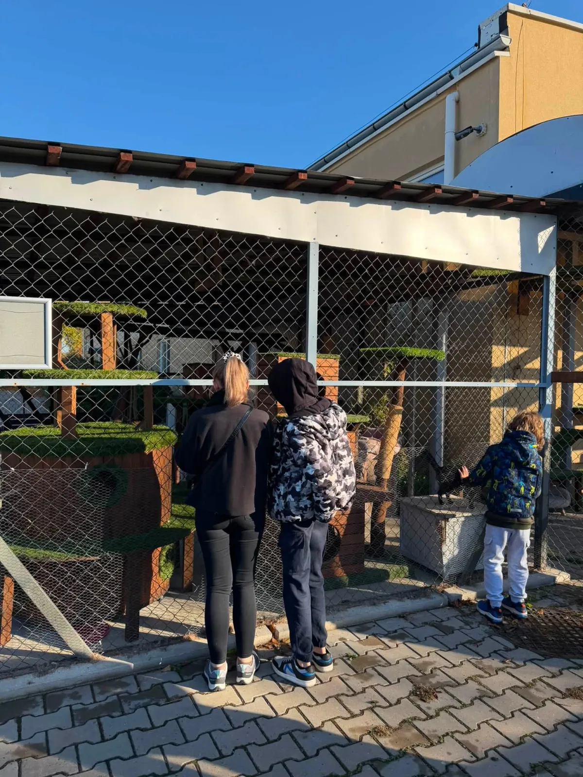 Helping the shelter — school donation drive results - photo 6