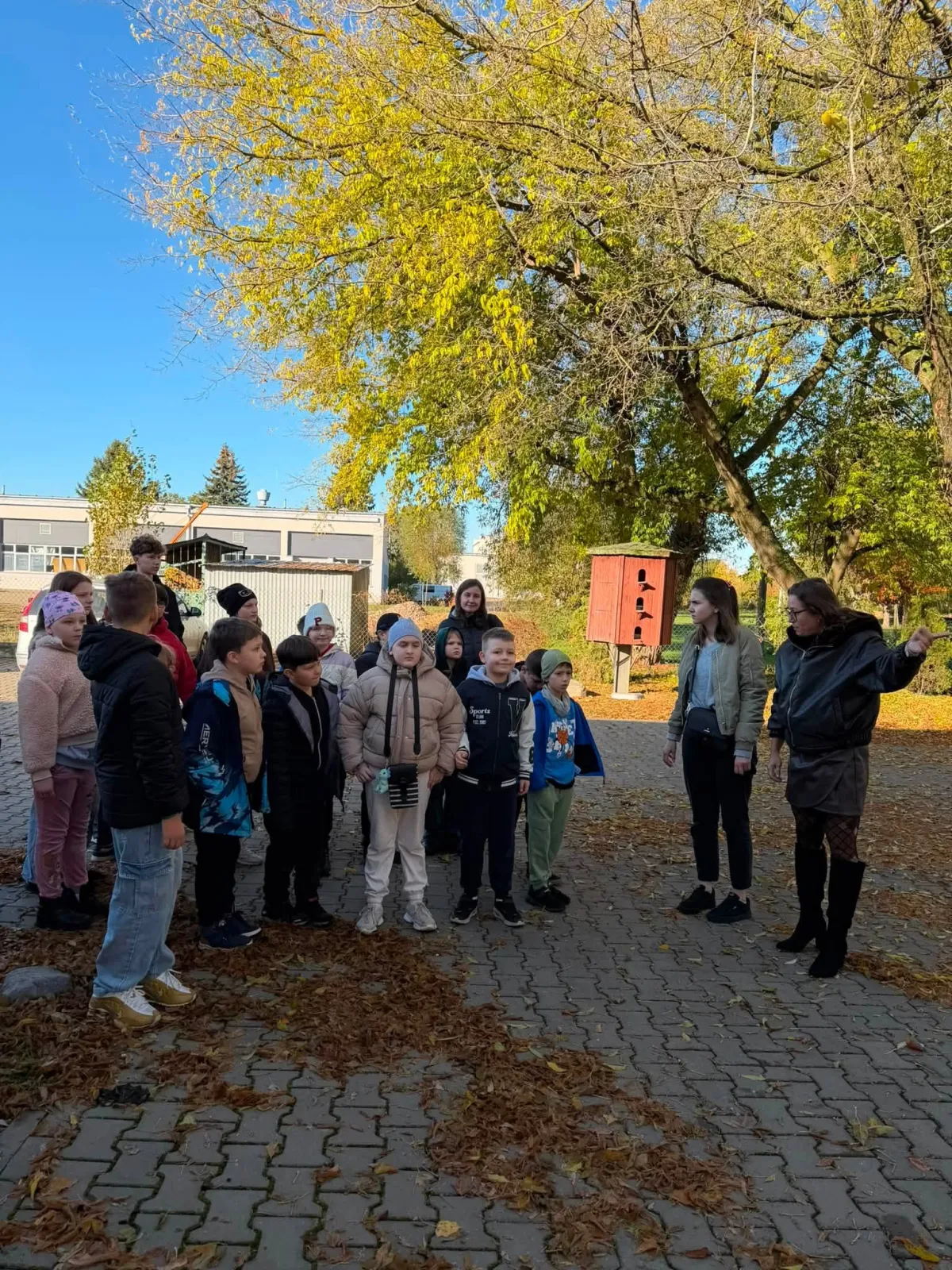 Helping the shelter — school donation drive results - photo 8