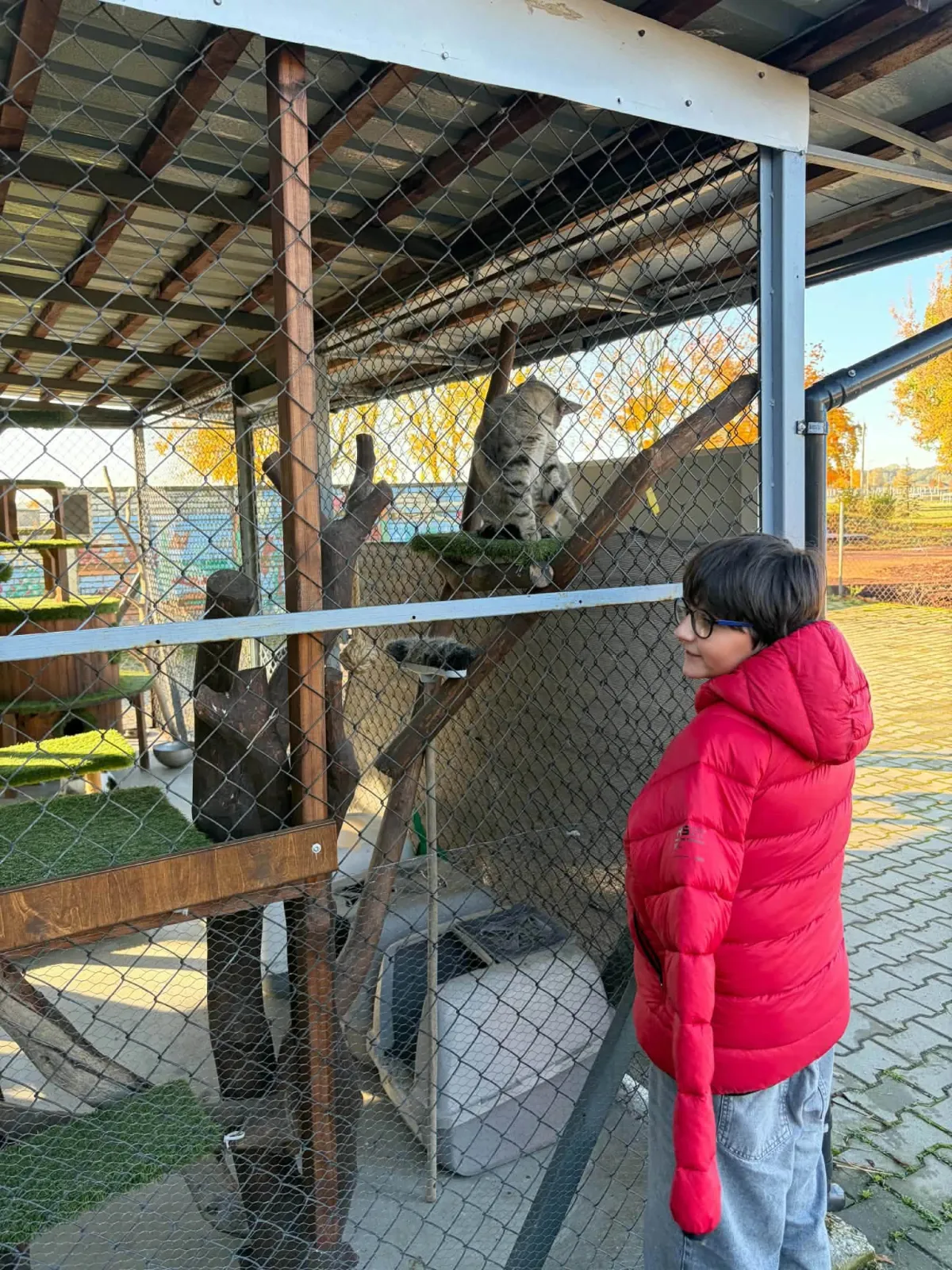 Helping the shelter — school donation drive results - photo 14