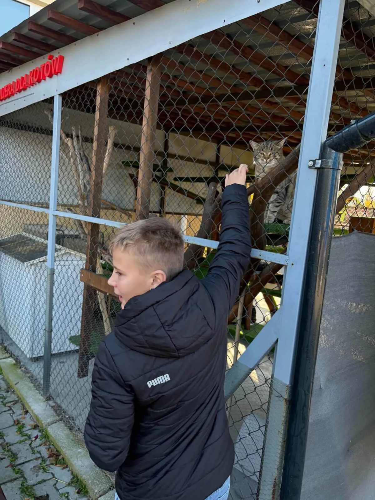 Helping the shelter — school donation drive results - photo 15
